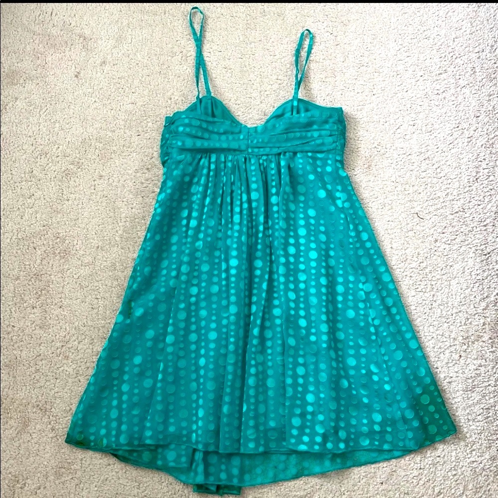 EXPRESS dress